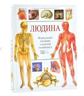 Книга: "Людина". Навчальний посібник з анатомії та фізіології 00-24252544 фото