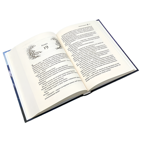 Книга : Королева порожнечі. Блек Голлі 00-48007 фото