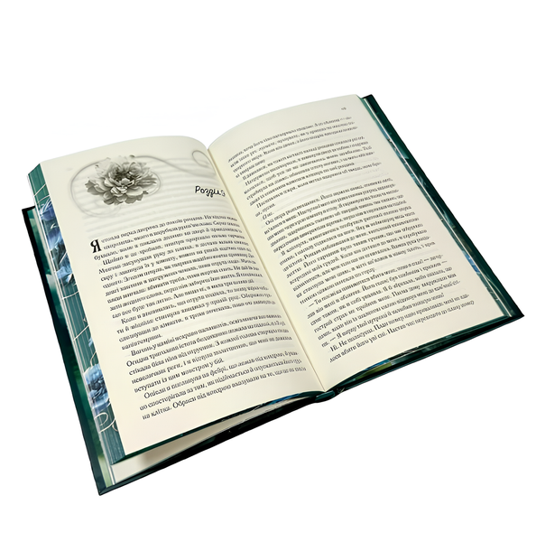 Книга : Холодне серце. Книга 1. Лея Стоун, Джулі Холл (зі зрізом) 00-301545 фото