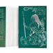 Книга : Її осяйне прокляття. Елізабет Лім (зі зрізом) 00-897954 фото 5